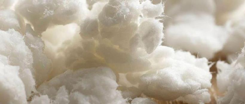 Dissolving Pulp Market 