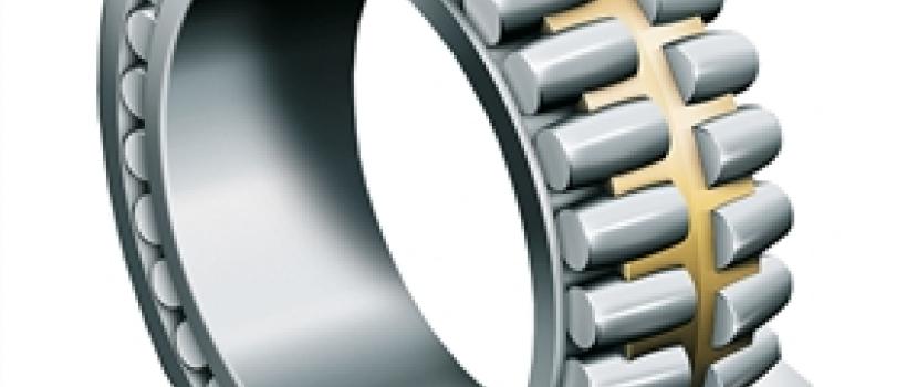 Double Bearing
