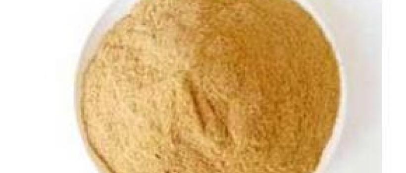 Dried Yeast market