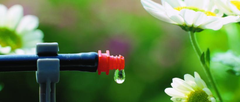 Drip Irrigation