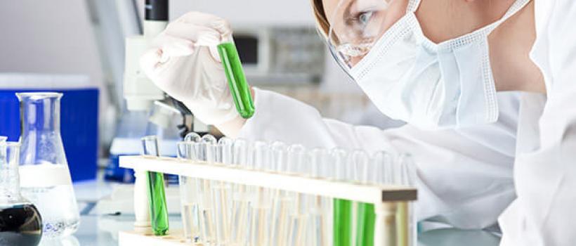 Drug Screening Market 