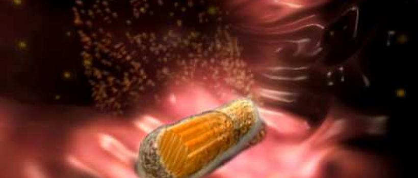 Drug-delivery Smart Pill