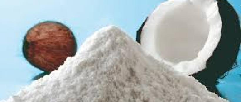  Dry Coconut Powder