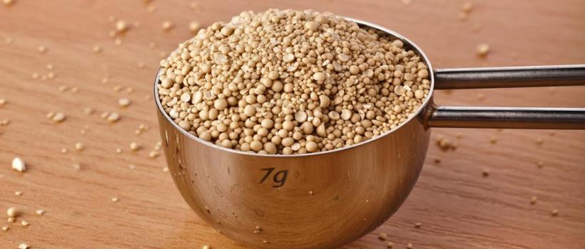 Dry Yeast