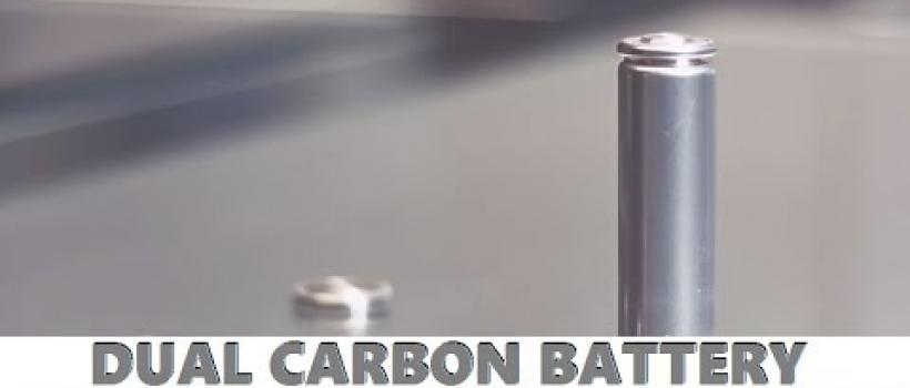 Global Dual Carbon Battery Market Size