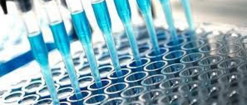 ELISA Reagents Market