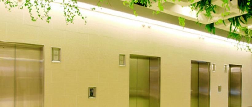 Eco-Friendly Lifts 