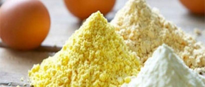 Egg Powder Market