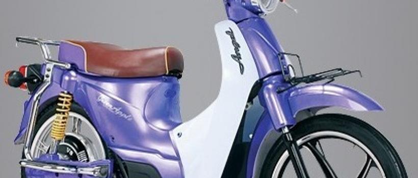  Electric Bikes Industry