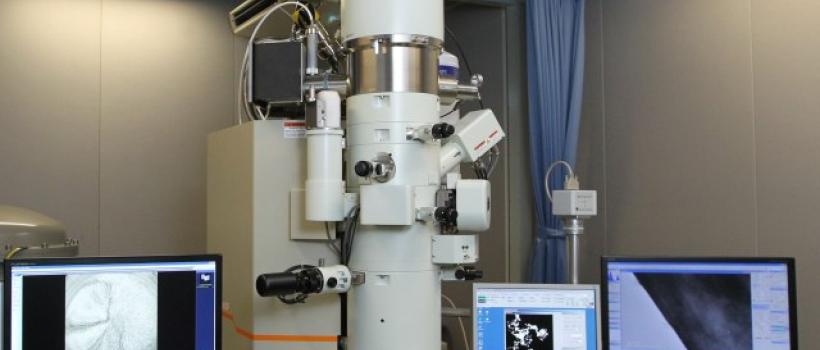  Electron Microscope 