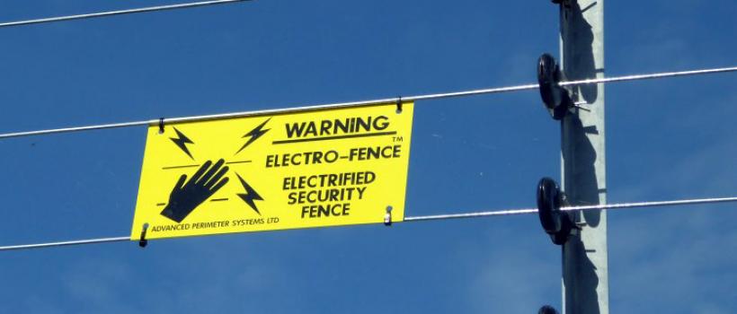 Electronic Fence Industry 2023