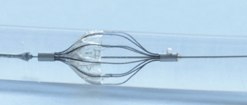 Embolic Protection Devices Market