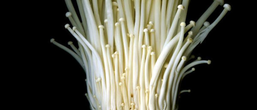 Enoki Mushroom, Enoki Mushroom Market, Enoki Mushroom Market Growth
