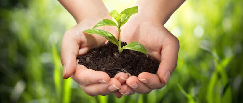 Environmental Management