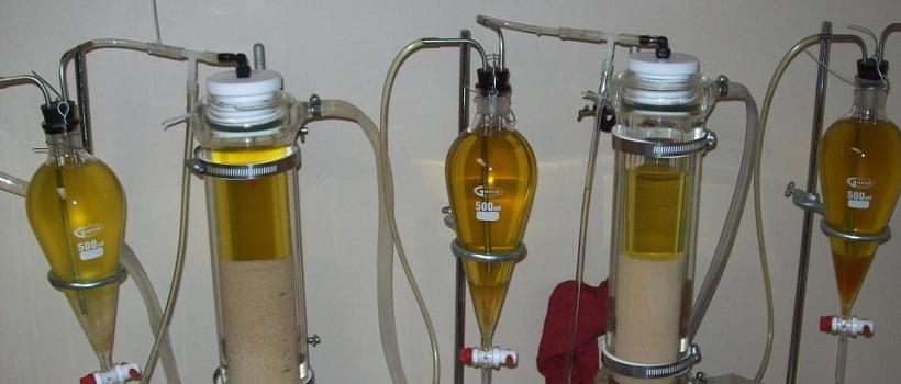 Enzymatic Biodiesel, Enzymatic Biodiesel Market, Enzymatic Biodiesel Market Growth