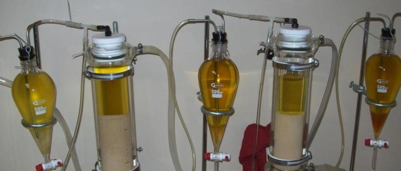 Enzymatic Biodiesel, Enzymatic Biodiesel Market, Enzymatic Biodiesel Market Growth