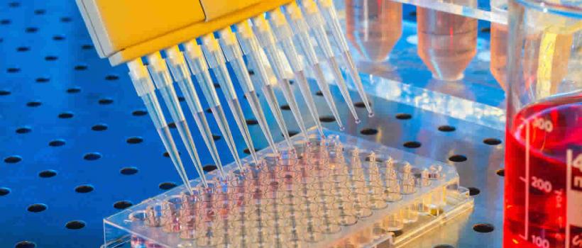 Enzyme Linked Immunosorbent Assay Market