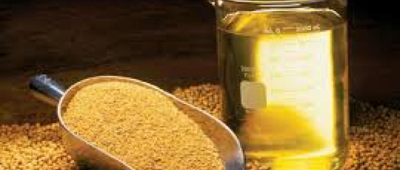 Epoxidized Soybean Oil Market 