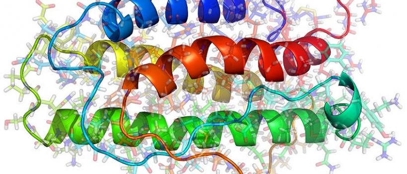 Erythropoietin Market 