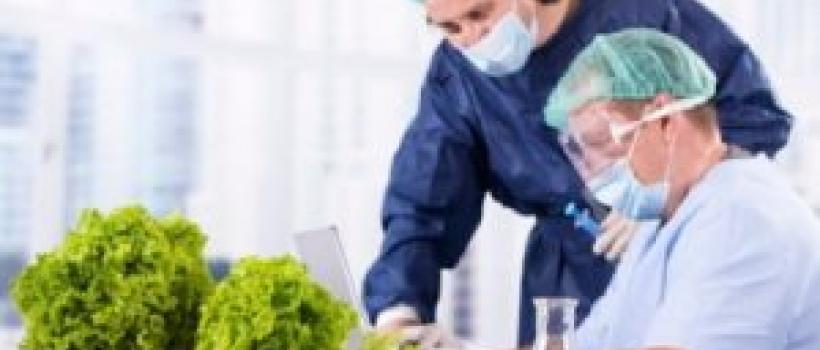 Europe Food Safety Testing Market 