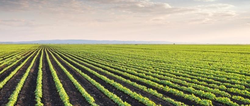 Farm Crop Insurance