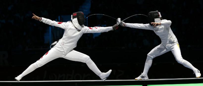 Fencing Market