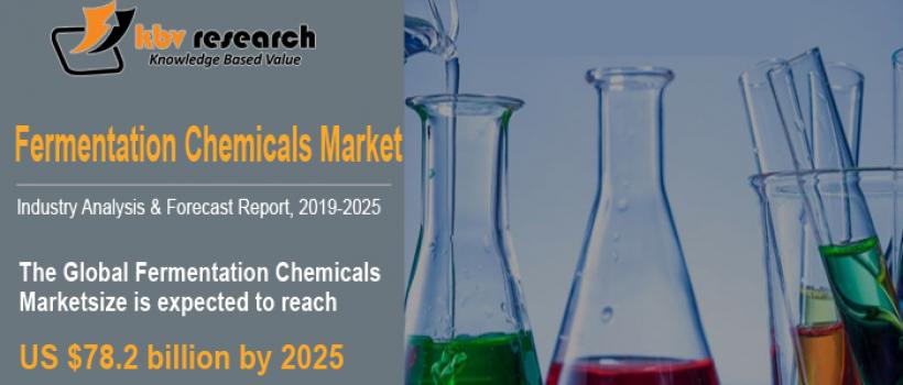 Fermentation Chemicals Market