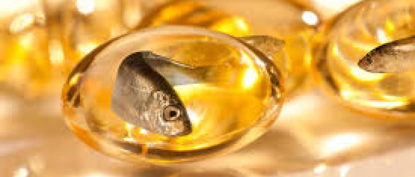 Fish Oil Industry