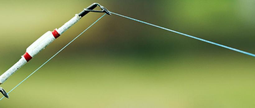 Fishing Lines 