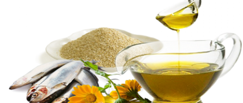 Fishmeal & Fish Oil