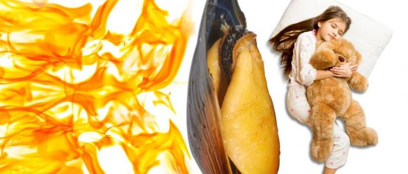 Flame Retardants for Aerospace Plastics