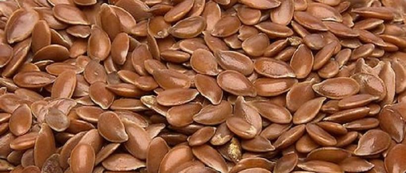 Flaxseed Seeds 