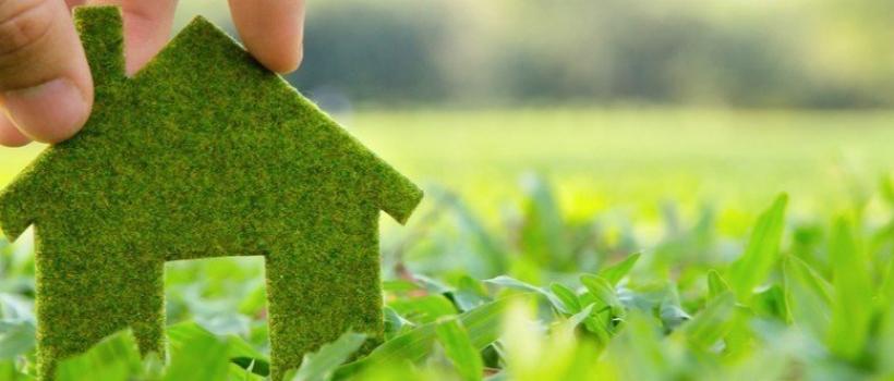 Flexible Green Packaging Market
