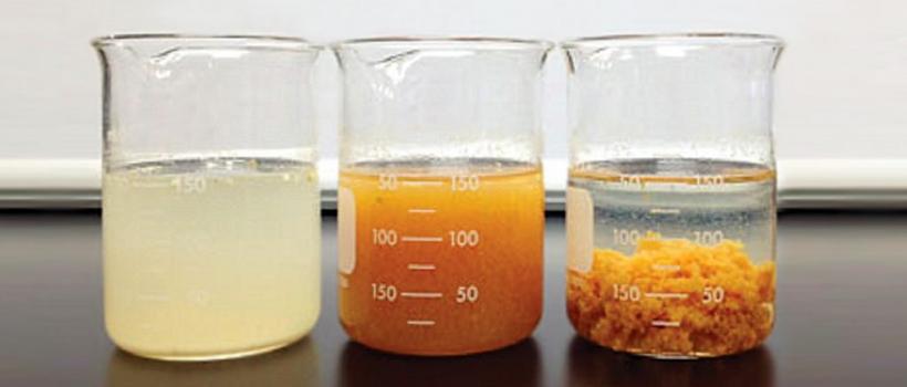 Flocculant and Coagulant Market