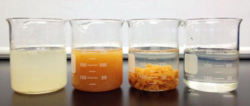 Flocculant and Coagulant