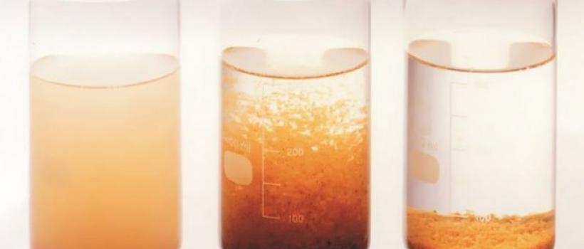 Flocculants and Coagulants Market