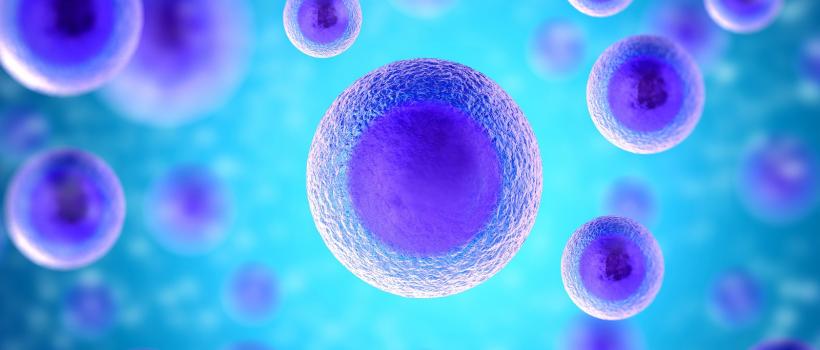 Flow Cytometry Market