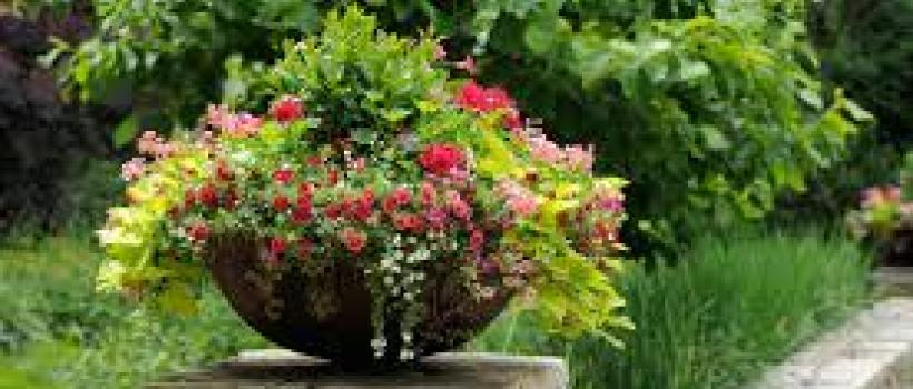  Flower Pots and Planters 