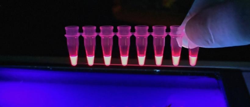 Fluorescence Spectroscopy,  Fluorescence Spectroscopy Market,  Fluorescence Spectroscopy Market Growth,  Fluorescence Spectroscopy Market Size,  Fluorescence Spectroscopy Market Share