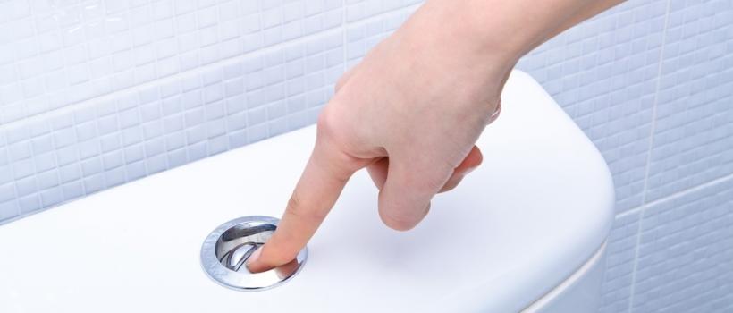 Flushing Systems Market