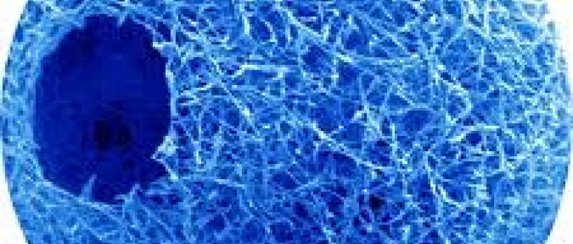 Fly Ash and Ceramic Microsphere