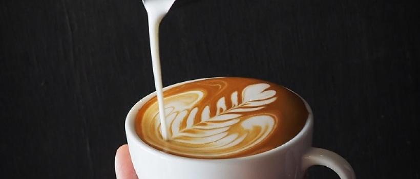 Foaming Creamer 
