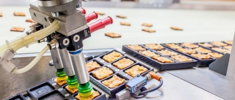 Food And Beverage Industrial Robotics Market 