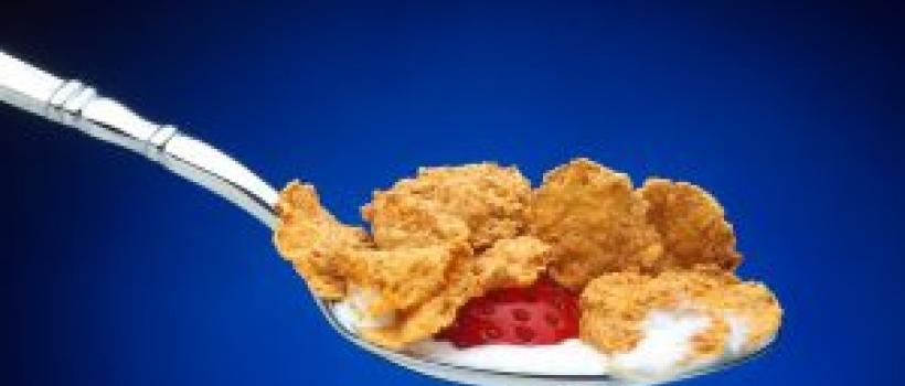 Food Fortification Ingredients