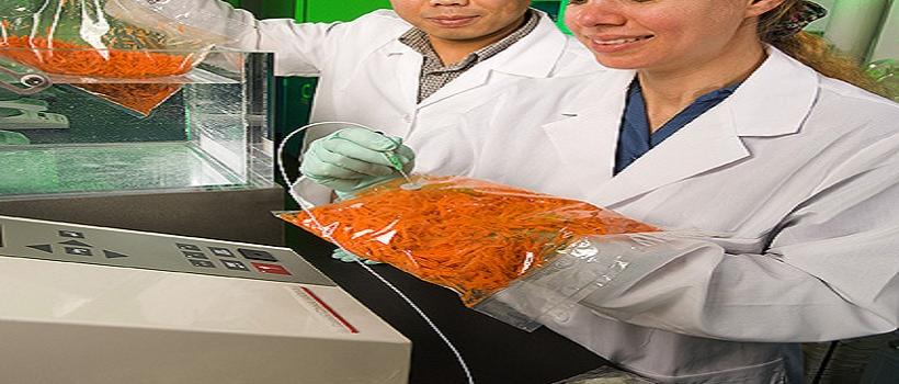 Food Packaging Equipments, Food Packaging Equipments Market, Food Packaging Equipments Market Growth