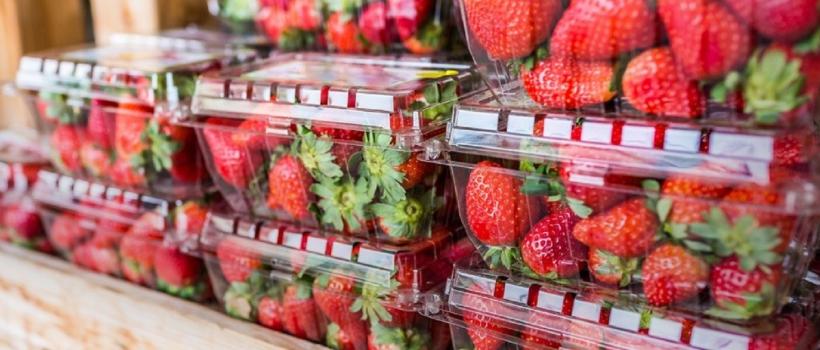 Food Perforated Packaging Market