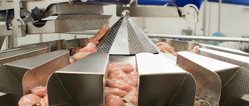 Food Processing and Packaging Equipment