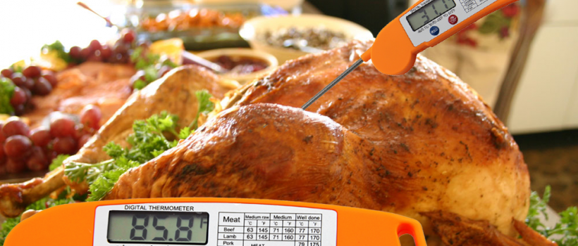 Food Safety Testing Equipment