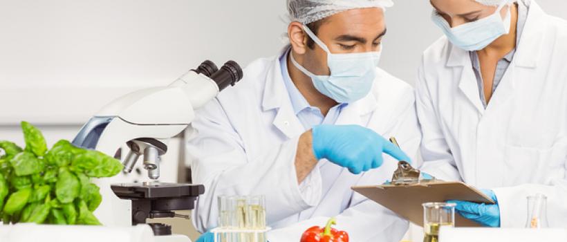 Food Safety Testing