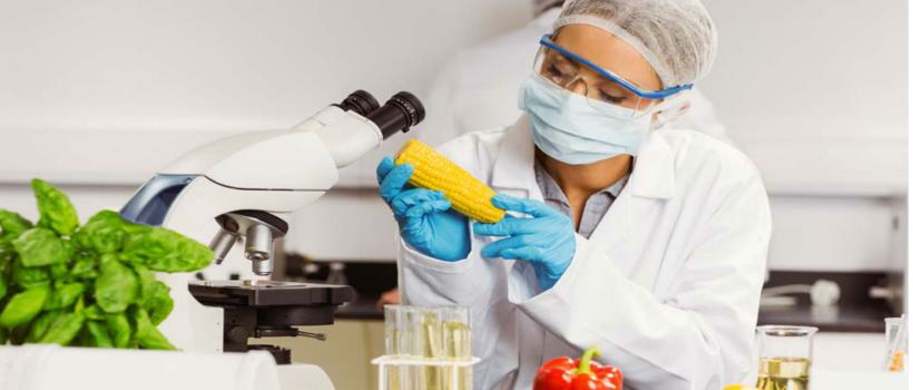 Food Safety Testing Market